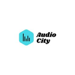 The most valuable and trusted Mobile Electronics Industry in New Zealand "Audio City" which provide the best car audio system. We continue to set the industry standard for knowledge and professionalism, educate our customers, and maintain the highest levels of customer service, quality, and value.